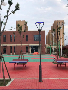 渭南學(xué)校專利庭院燈